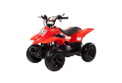 Квадроцикл IRBIS Dingo 50s, фото 1 Квадроцикл IRBIS Dingo 50s, фото 1