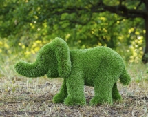 Топиари слон Кроха - газон Premium Топиари слон Кроха - газон Premium