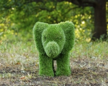 Топиари слон Кроха - газон Premium Топиари слон Кроха - газон Premium