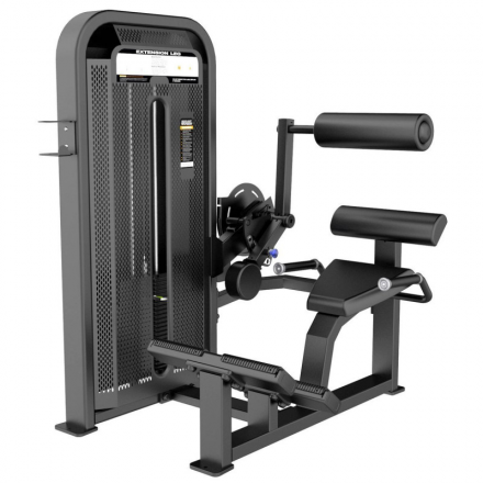 E-5031 Разгибание спины (Back Extension). Стек 109 кг., фото 1