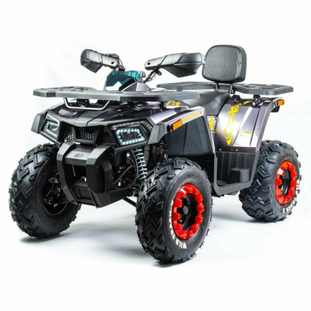 Квадроцикл подростковый MotoLand ATV 200 WILD TRAСK X, фото 1