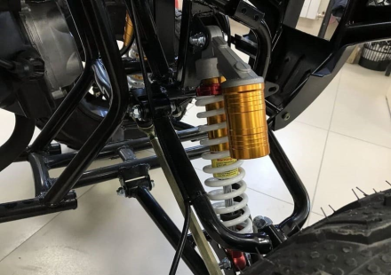 Квадроцикл RAPTOR Max Pro 250 (жёлтый/чёрный) (2024), фото 10