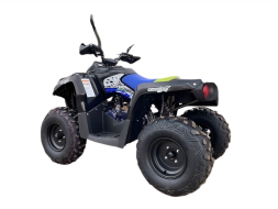 Квадроцикл GLADIATOR F200 Premium, фото 3 Квадроцикл GLADIATOR F200 Premium, фото 3