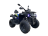 Квадроцикл GLADIATOR F200 Premium