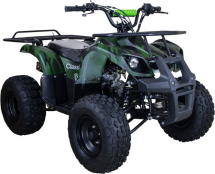 Квадроцикл RAPTOR 8 ATV125U Classic 125CC 4Т Квадроцикл RAPTOR 8 ATV125U Classic 125CC 4Т