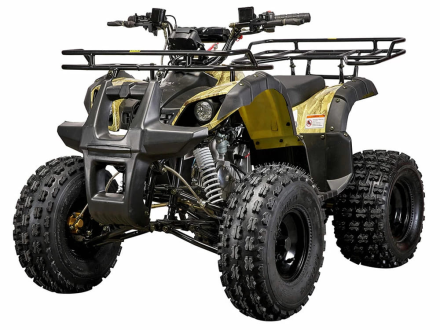 Квадроцикл YACOTA Kids 8, фото 1