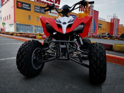 Квадроцикл MOTOLAND 250S Pro, фото 3 Квадроцикл MOTOLAND 250S Pro, фото 3