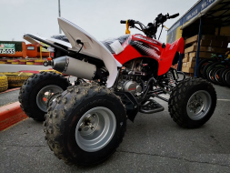 Квадроцикл MOTOLAND 250S Pro, фото 2 Квадроцикл MOTOLAND 250S Pro, фото 2