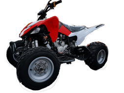 Квадроцикл MOTOLAND 250S Pro, фото 1 Квадроцикл MOTOLAND 250S Pro, фото 1