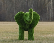 Топиари слоник Антошка - газон Premium Топиари слоник Антошка - газон Premium