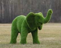 Топиари слоник Антошка - газон Premium Топиари слоник Антошка - газон Premium