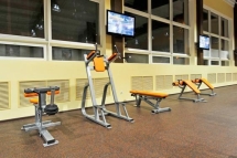 Тренажер Поднятие коленей / Брусья FOREMAN FW-801 Тренажер Поднятие коленей / Брусья FOREMAN FW-801