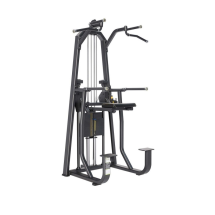 E-3009 Турник, брусья с противовесом (Dip/Chin Assist). Стек 88 кг. E-3009 Турник, брусья с противовесом (Dip/Chin Assist). Стек 88 кг.