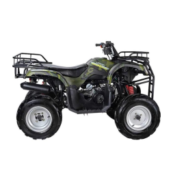 Квадроцикл WELS Purga 170, фото 2
