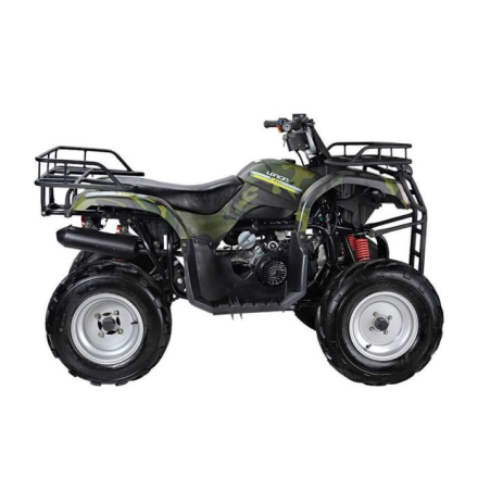 Квадроцикл WELS Purga 170, фото 2