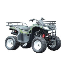 Квадроцикл WELS Purga 170, фото 1