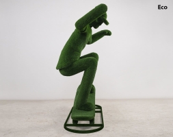 Топиари Скейтер - газон Eco, фото 4