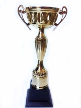 Кубок SL-119-1 (C)