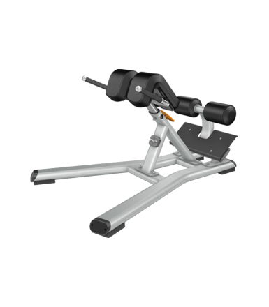 Гиперэкстензия PRECOR Discovery Line DBR 312, фото 1