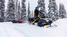 Снегоход BRP Ski-Doo Skandic LE 20″ 900 Ace (2023)