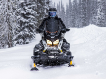 Снегоход BRP Ski-Doo Skandic LE 20″ 900 Ace (2023)