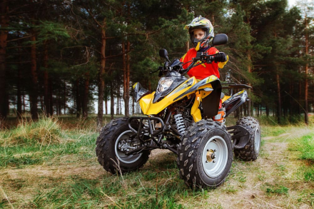 Квадроцикл RM Рысь 150, фото 9