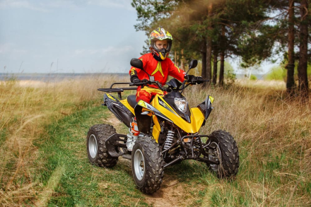 Квадроцикл RM Рысь 150, фото 8