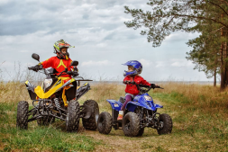 Квадроцикл RM Рысь 150, фото 6