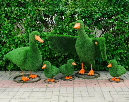 Топиари композиция Утки - газон Eco, фото 1