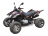 Квадроцикл ACCESS SP 300 SM