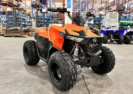 Квадроцикл SHARMAX Cross 200 (2024), фото 22