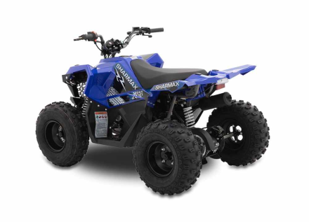 Квадроцикл SHARMAX Cross 200 (2024), фото 8