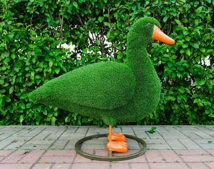 Топиари утка Кряша - газон Eco, фото 3
