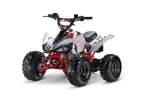 Квадроцикл ACCESS AMS 110 MiniSport Квадроцикл ACCESS AMS 110 MiniSport
