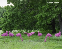 Топиари композиция фламинго розовый, семья Ларри, 5 шт - газон Eco, фото 2