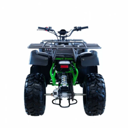 Квадроцикл MOTAX ATV Grizlik 200, фото 4