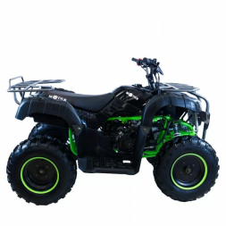 Квадроцикл MOTAX ATV Grizlik 200, фото 3