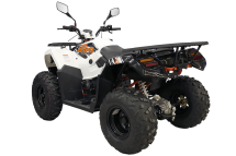 Квадроцикл KAYO AU300 Carb