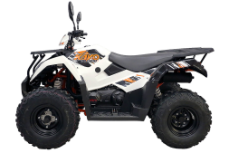 Квадроцикл KAYO AU300 Carb, фото 2