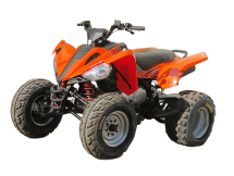 Квадроцикл ARMADA ATV 200L-1 Квадроцикл ARMADA ATV 200L-1