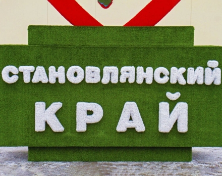 Топиари стела Любимый край, h=400 см - газон Eco, фото 2