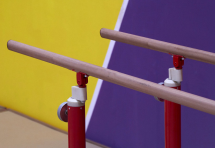 Жерди олимпийские мужские углепластиковые профессиональные для параллельных брусьев