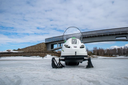 Снегоход БТС Артик-4Т, фото 2