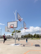 Мультищит для баскетбола Дерево Мультищит для баскетбола Дерево