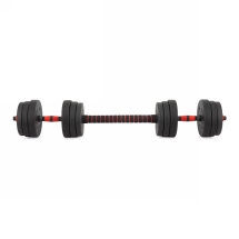 Гантели разборные с грифом, 20 кг (2 шт. х 10 кг)