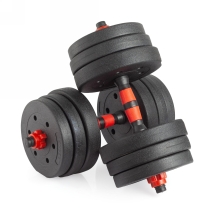 Гантели разборные с грифом, 20 кг (2 шт. х 10 кг)