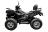 Квадроцикл RATO 200 LD Premium GT