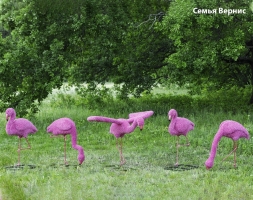 Топиари композиция фламинго розовый, семья Вернис, 5 шт - газон Eco, фото 1