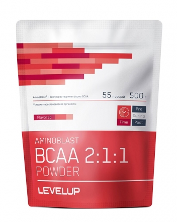 Добавка Level Up AMINOBLAST BCAA Powder 500гр, фото 1