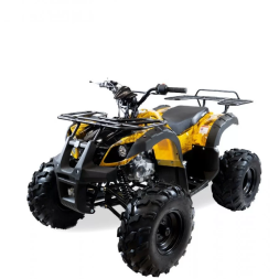 Квадроцикл MOTAX ATV Grizlik Lux 125сс, фото 3